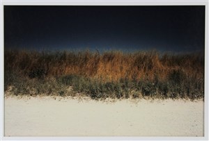 Image description is not available for 2013.027